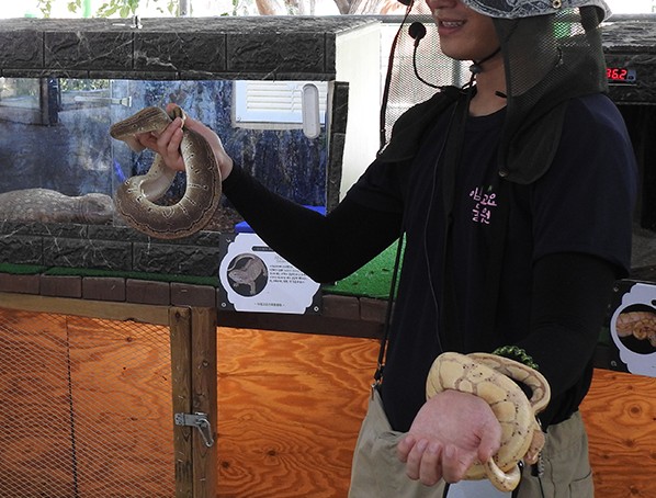 아침고요동물원 교감프로그램 - 파충류 설명회