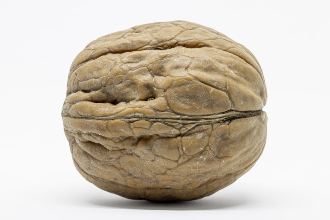 Cerebellar