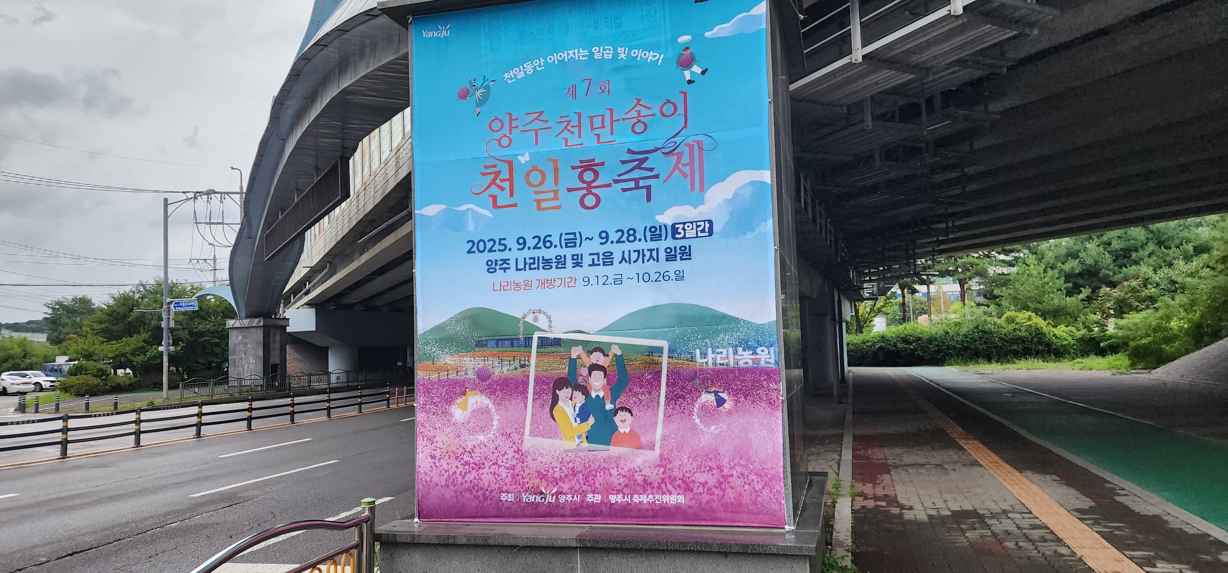 양주 천일홍축제 안내 이미지