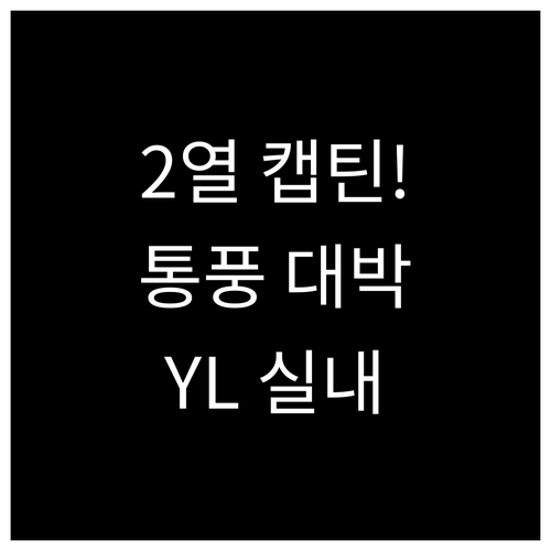 모델 YL 실내 디자인 2열 캡틴시트..