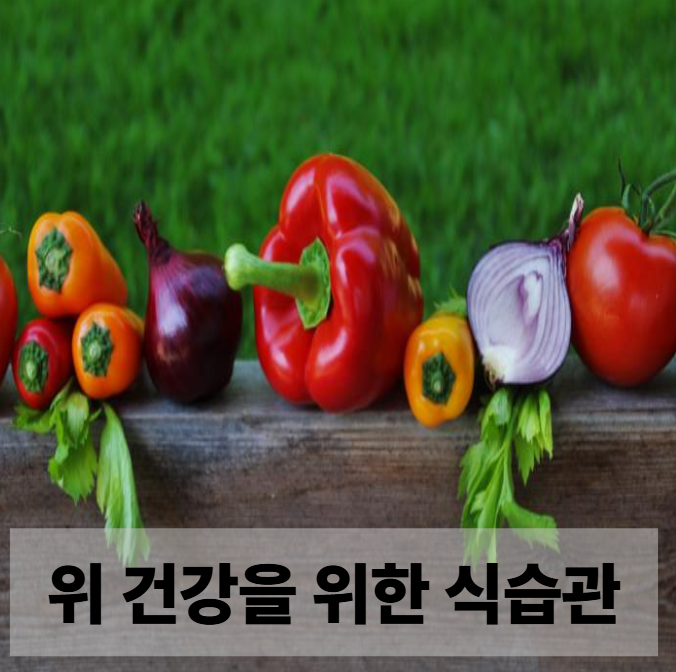 위 건강을 위한 식습관