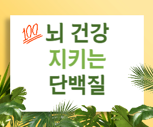 뇌 건강 단백질, 제대로 알고 똑똑하게 섭취하기