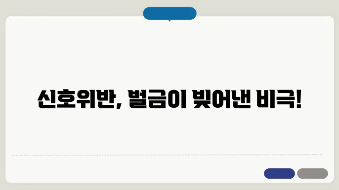 신호위반 사고 가해자 벌금