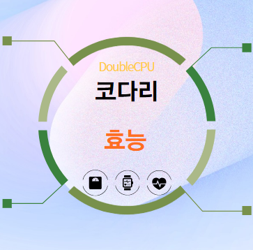 코다리 효능 5가지 탐구