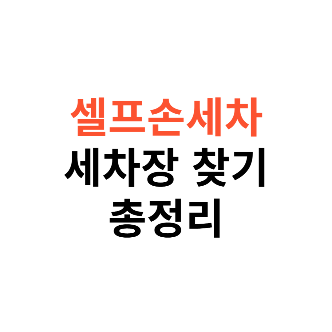 셀프손세차