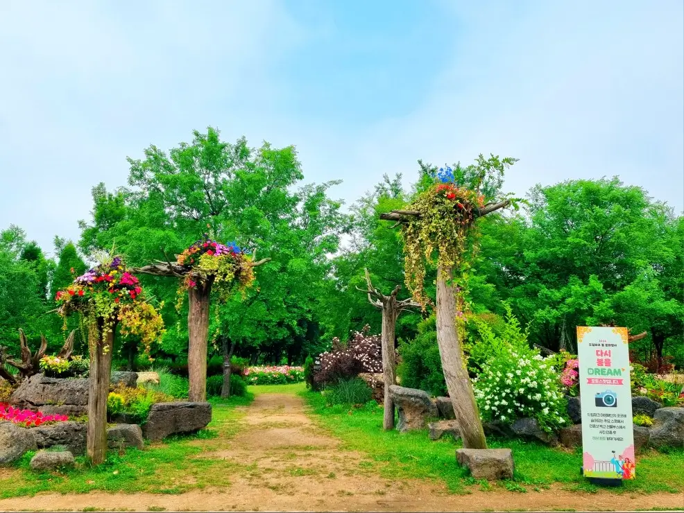 인천 드림파크 야생화단지: 봄꽃 축제 행사, 허브 화분 받기 이벤트 코스 안내, 카페, 주차