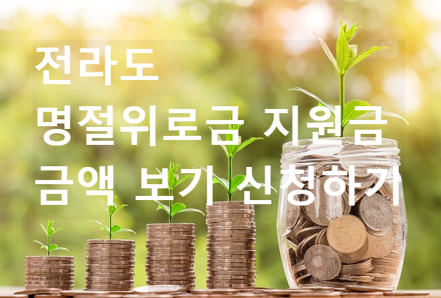 전라도 명절위로금 지원금 금액 조회 신청하기