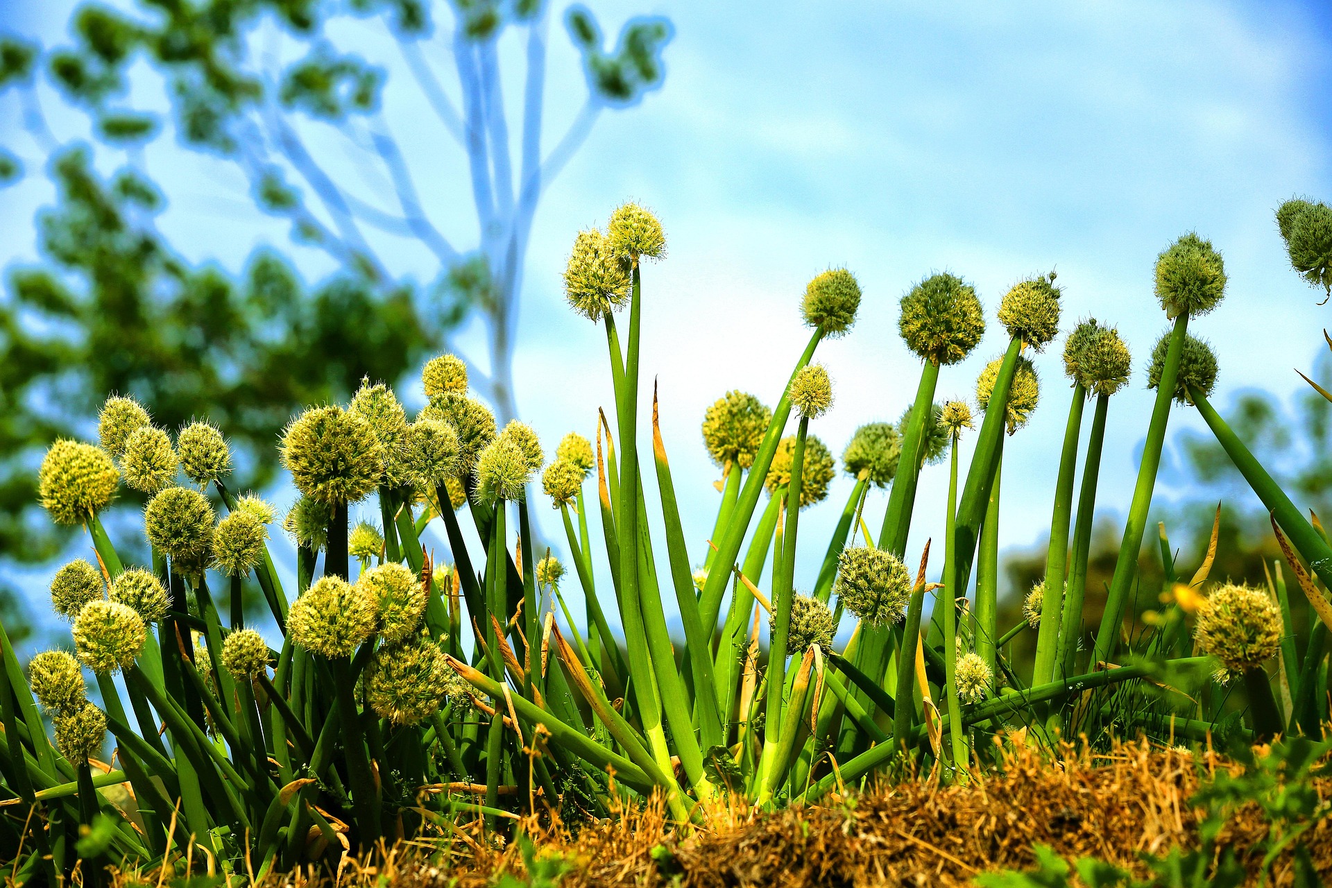 맹지를 잘 사용하는 방법이 있을까?