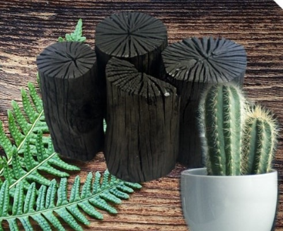 장마철, 왜 제습이 필요할까요?