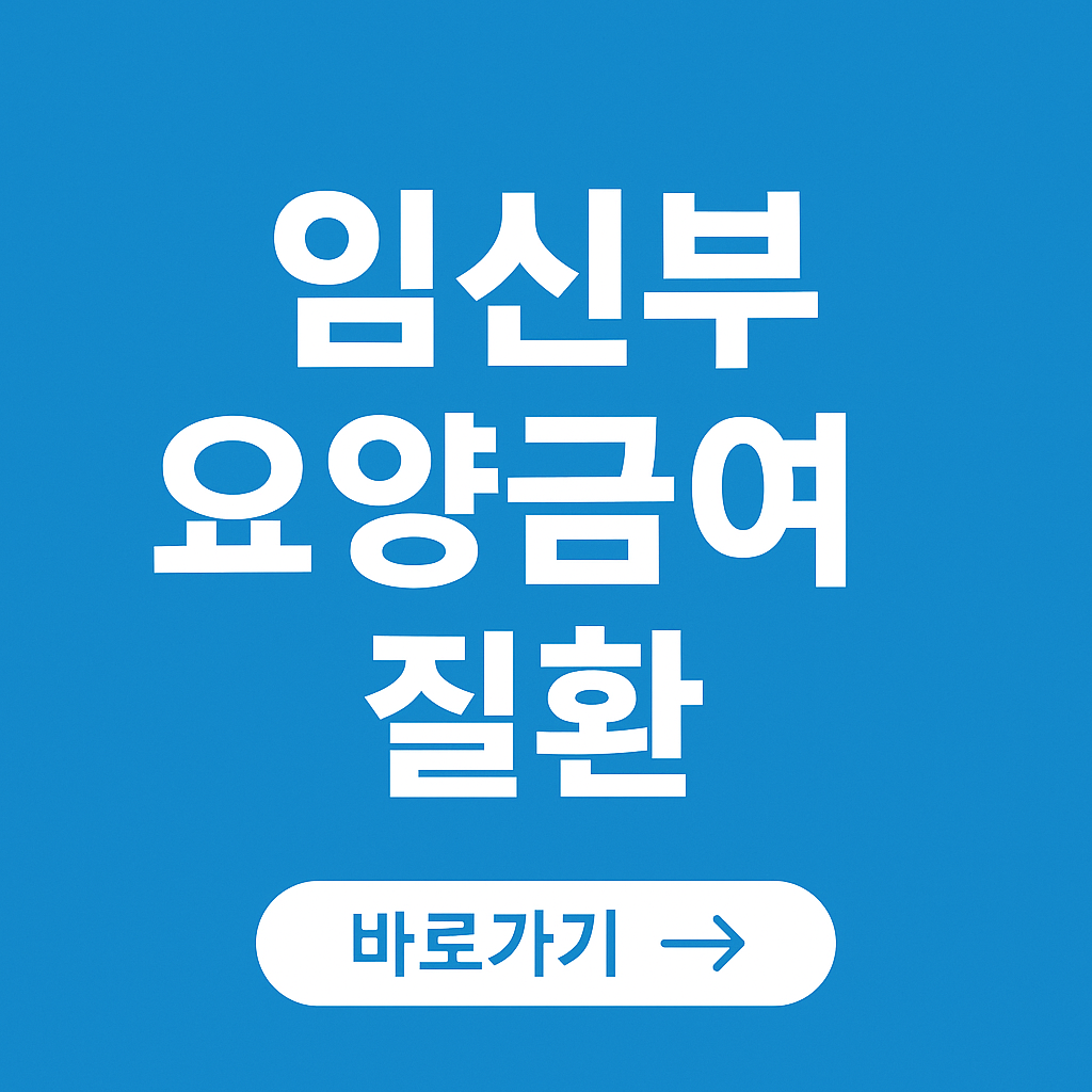 임신부 요양급여 지원