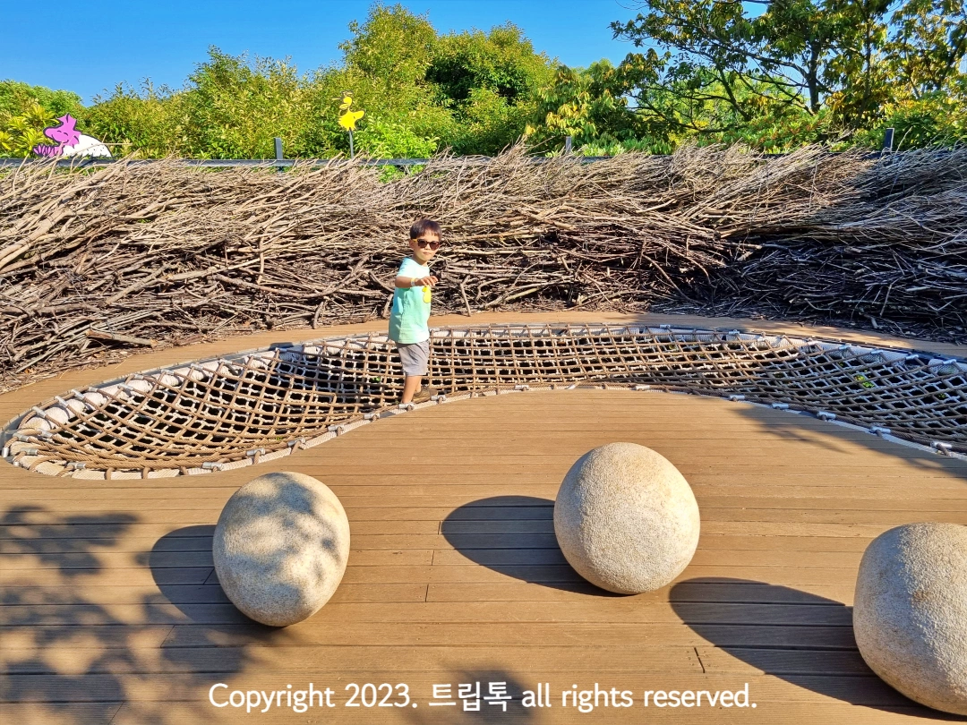 나무와 밧줄로 이루어진 공간을 다니는 아이