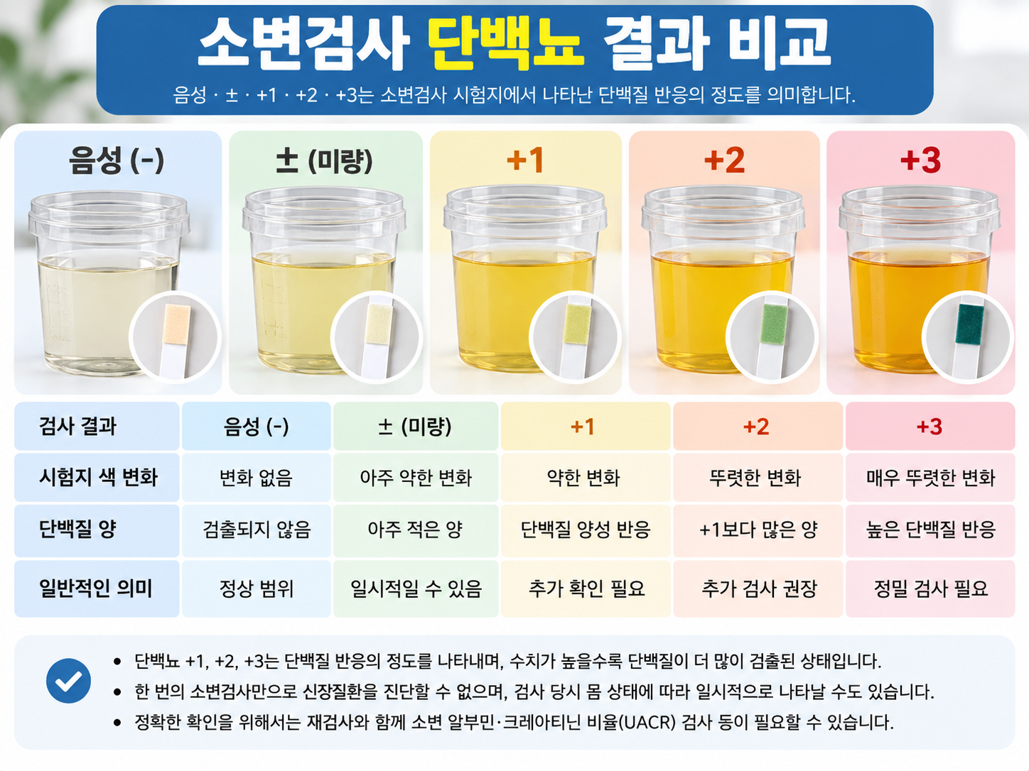 소변검사 음성&middot;&plusmn;&middot;+1&middot;+2&middot;+3 결과를 비교하는 간단한 인포그래픽