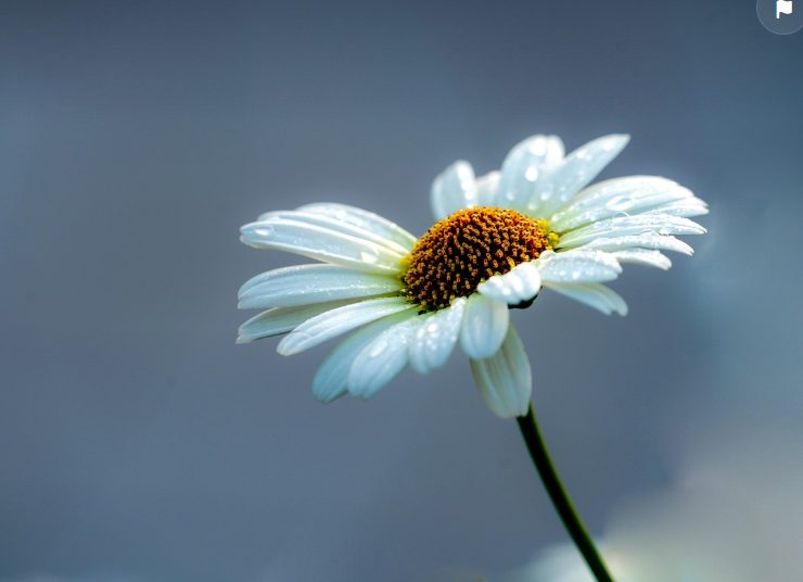 기부금 영수증, 연말정산 세액 공제, 기부단체