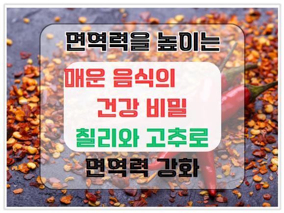 매운 음식의 건강 비밀: 칠리와 고추로 면역력을 높이는 방법