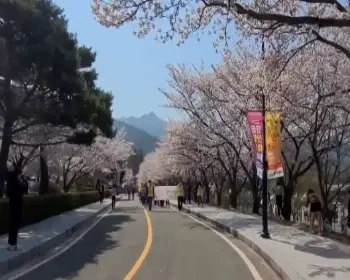 영암왕인문화축제_7