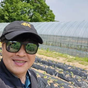 중부지방 들깨 파종시기 및 재배법 농사 팁 정리_8