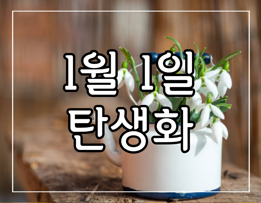 이 이미지는 1월 1일 탄생화 스노드롭에 관한 포스팅 대표 사진입니다.