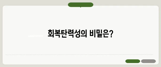 resilient 뜻과 회복탄력성 관련 표현