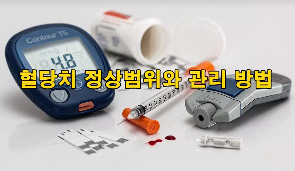 혈당치 정상범위와 관리 방법