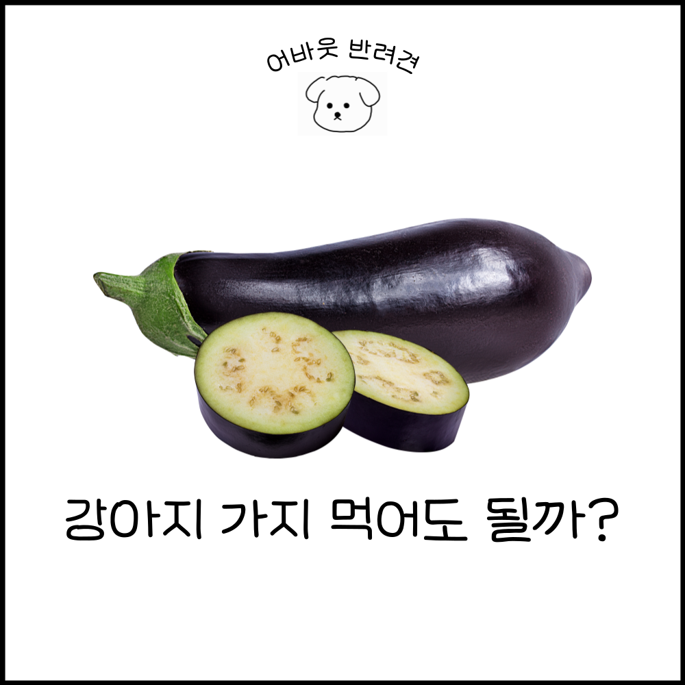 제목 이미지