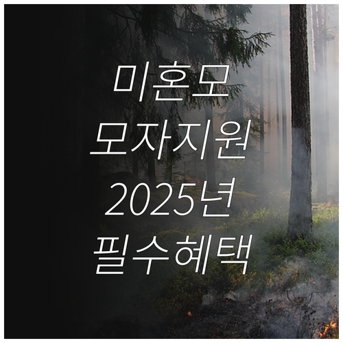 미혼모를 위한 2025 입양숙려기간 ..