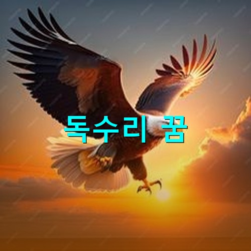 붉은-태양을-뒤로하고-날개를-활짝편-독수리가-노란-불톱을-오무리고-있는-모습