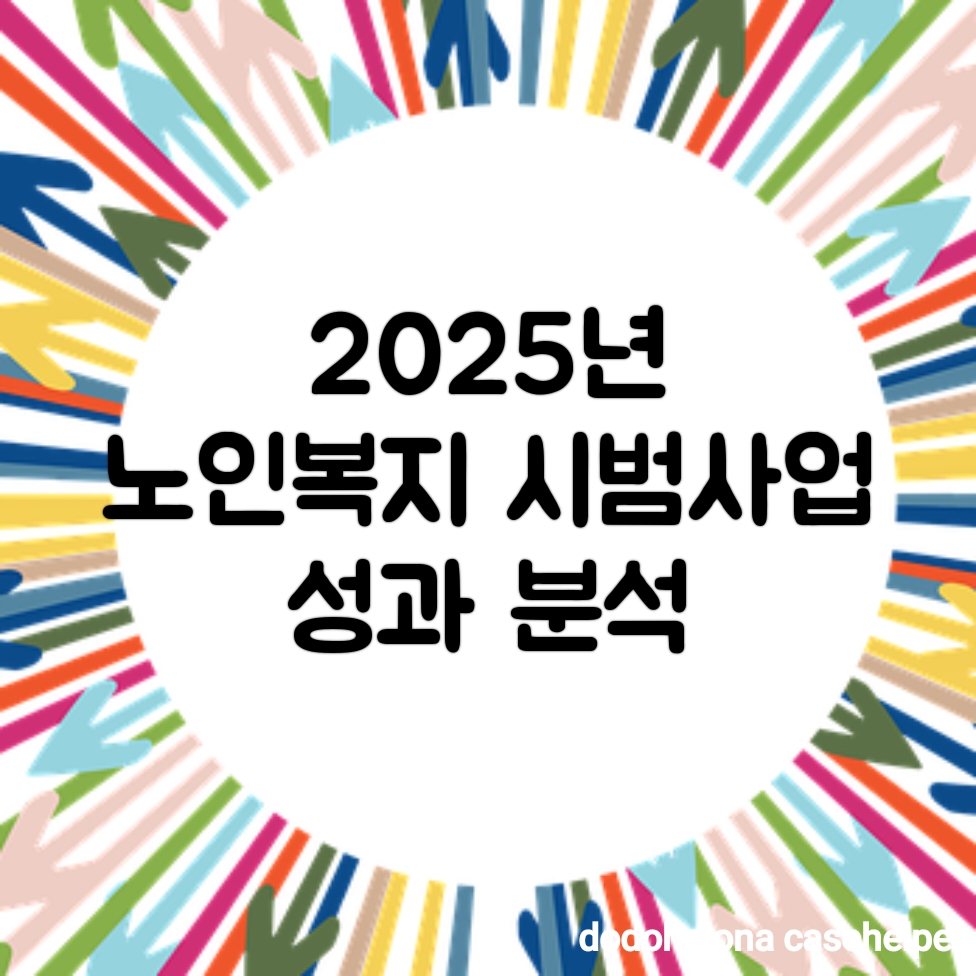 2025년 노인복지 시범사업 성과 분석