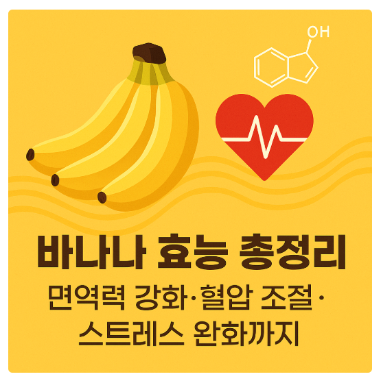 바나나 효능 총정리