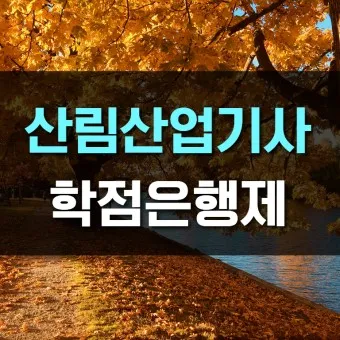 산림기사 증시자격 과목_12