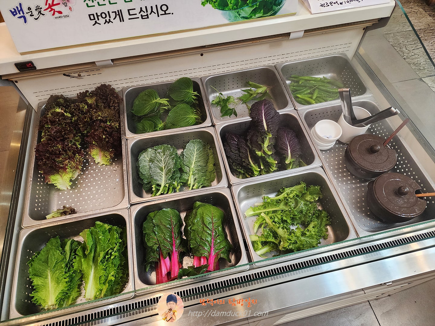 백운애꽃 셀프 코너