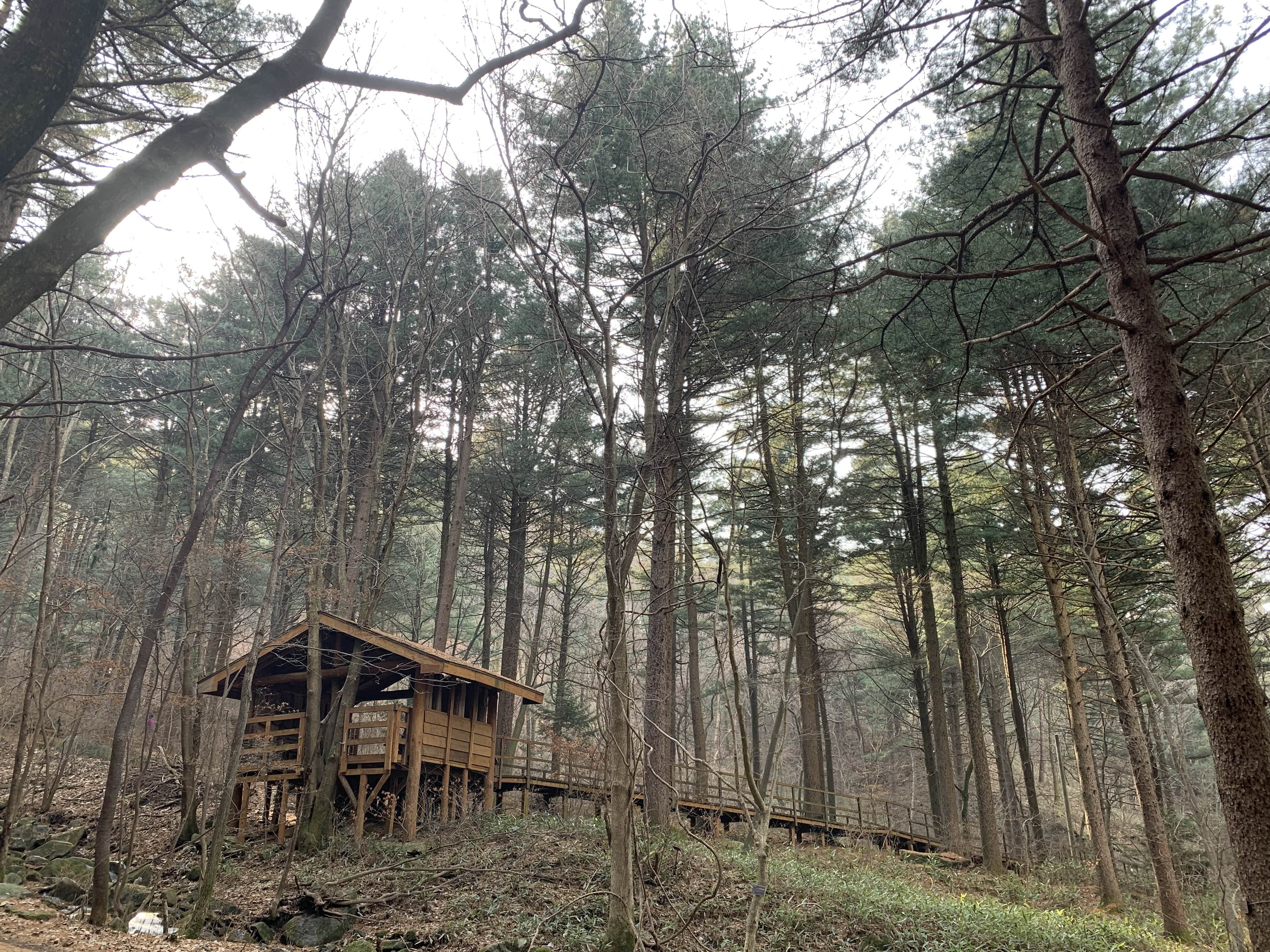 횡성 여행 청태산 자연휴양림