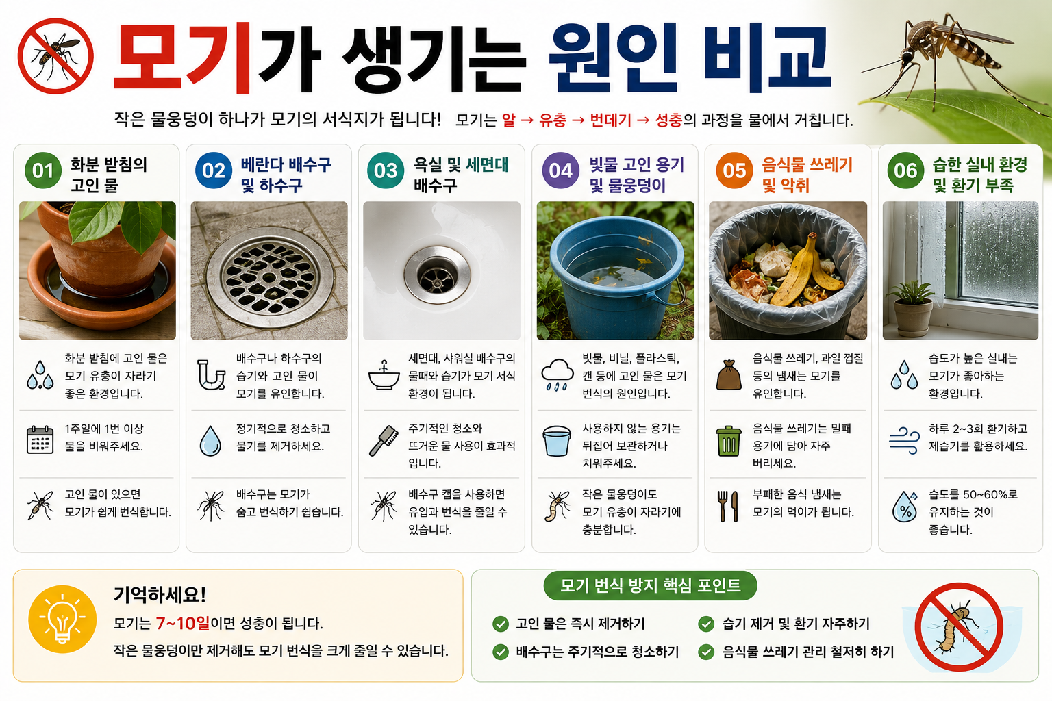 모기가 생기는 원인 비교 이미지