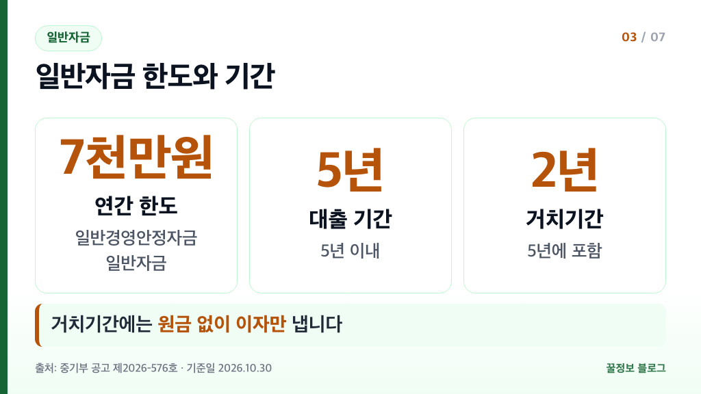소상공인 정책자금 일반경영안정자금 일반자금 연간 한도 7천만원 5년 이내 거치 2년 포함