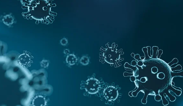 65세이상-대상포진-예방접종-무료-지원-신청방법