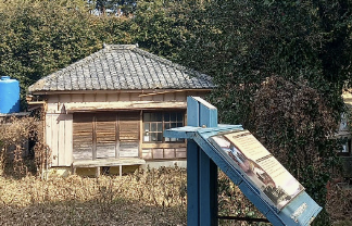 동백섬 지심도