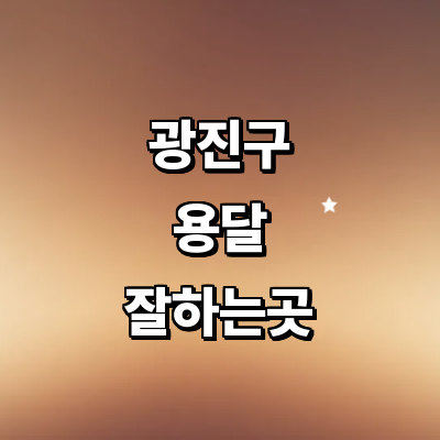 서울 광진구 용달