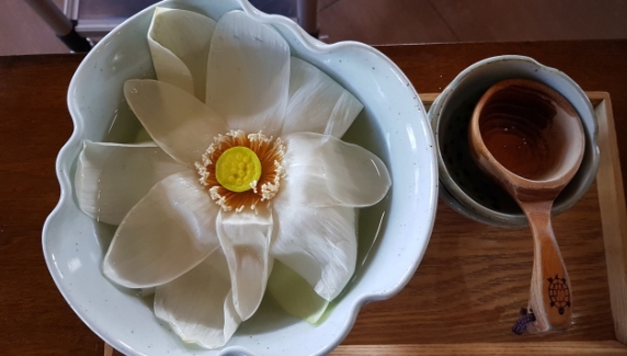 연꽃막걸리