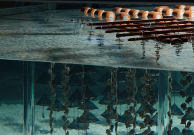 통영 수산과학관