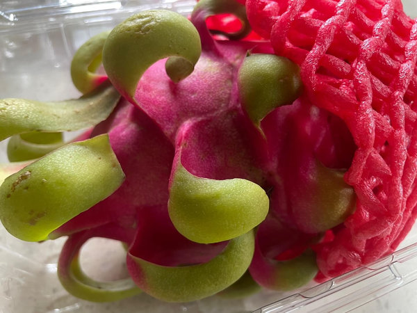 용과 먹는법 - 레드 용과, 적 용과 구매