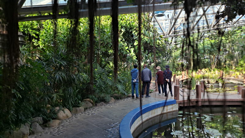 제주여행_여미지식물원