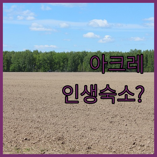 유네스코가 선택한 이스라엘 아크레의 ..