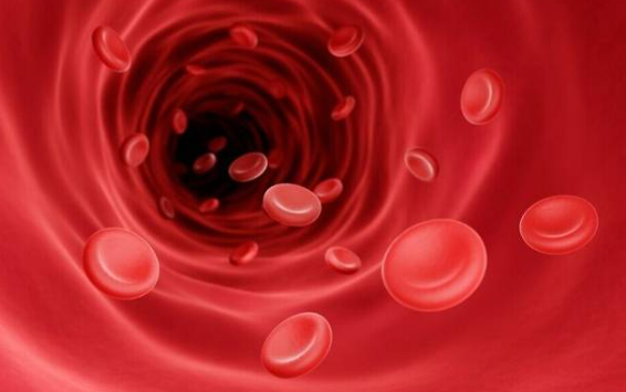 철분제 복용시간