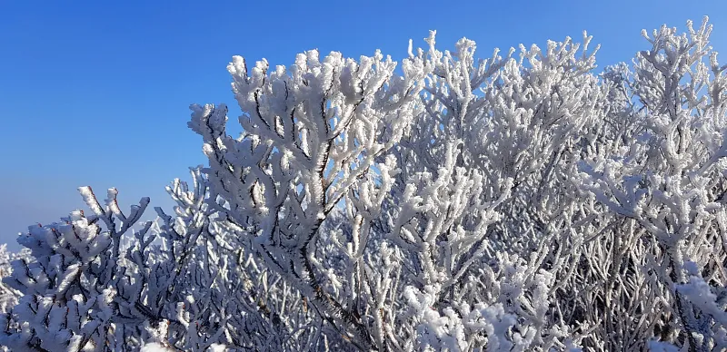 울산 가지산 설경