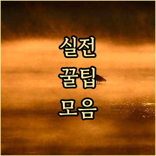 우리 동네 깨끗하게? 인창동 쓰레기 ..