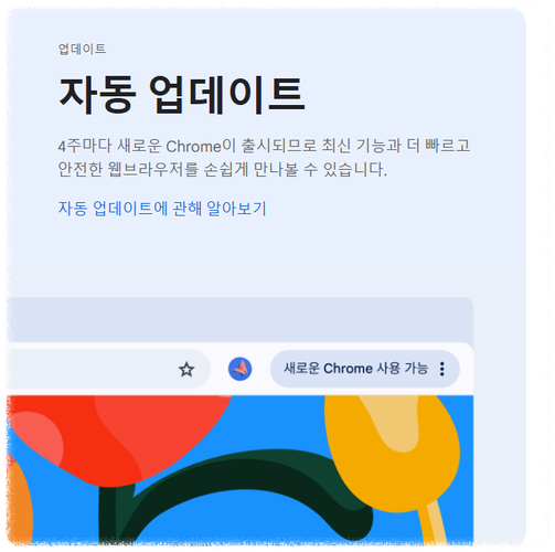 크롬 다운로드가 되지 않을 때 안내