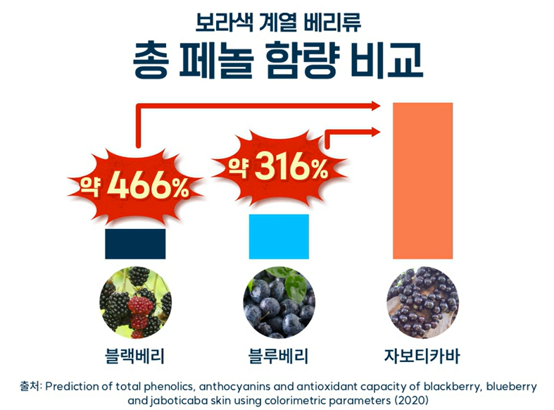 자보티카바 효능