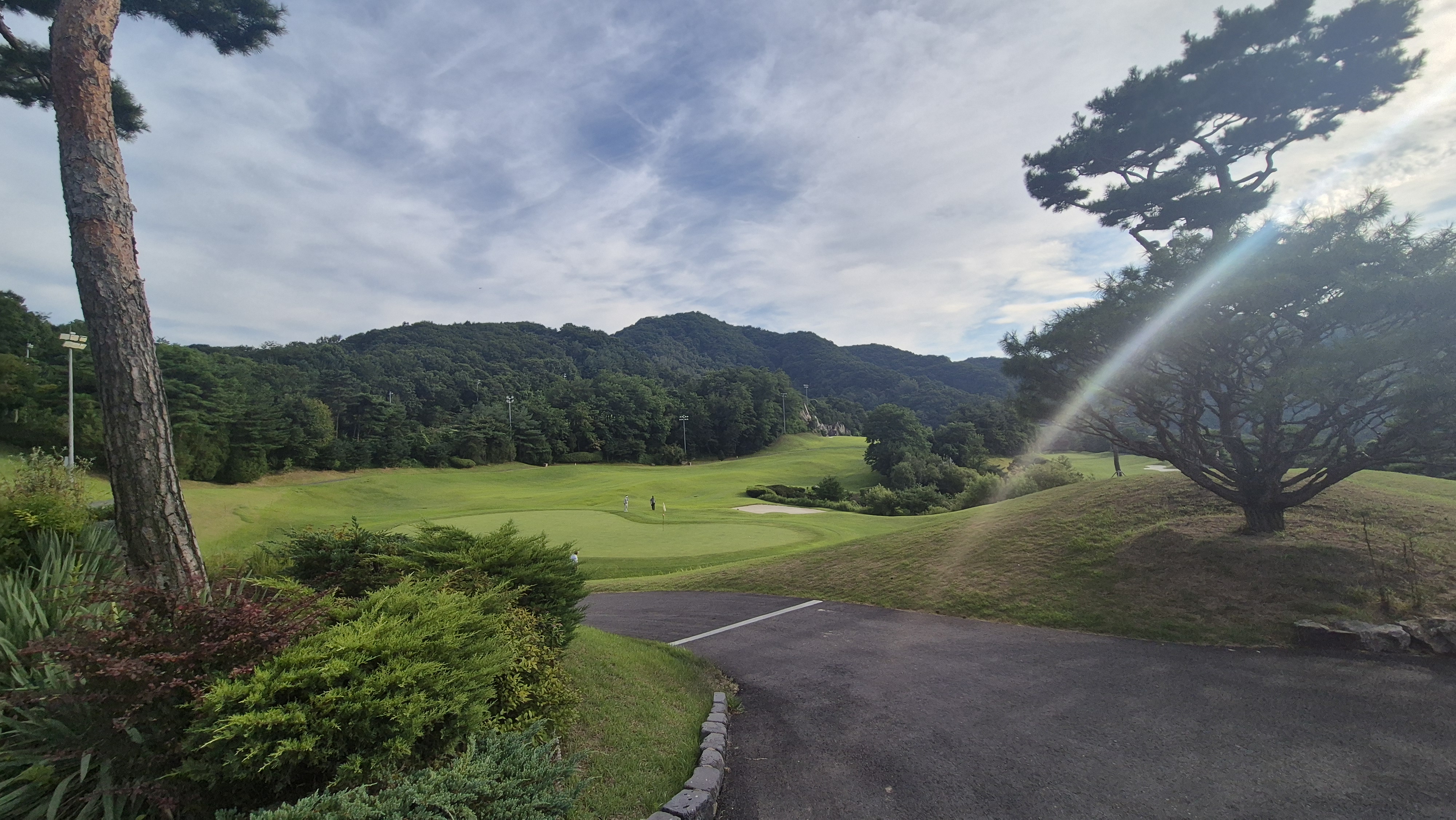 충주 골프장 파3 코스에서 멀리 보이는 골퍼들과 그린 주변 조경수들