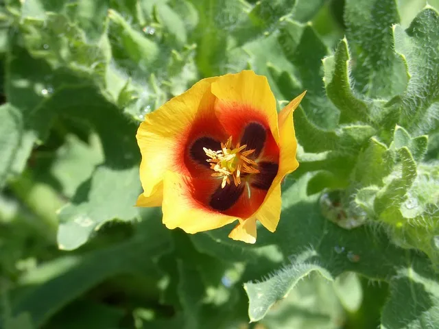 녹내장 진단 검사 비용 안압 검사주기 관리법_8