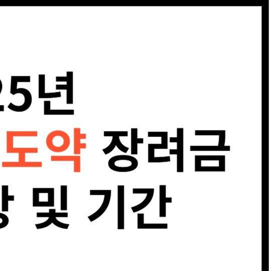 청년일자리도약장려금