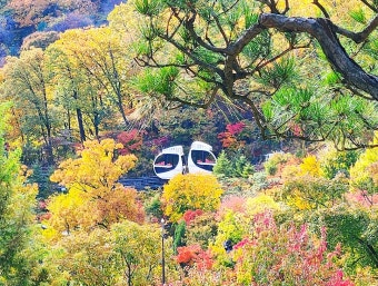 화담숲 예약방법[2025년]